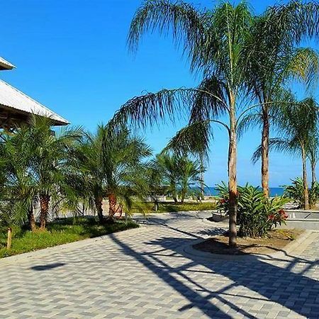 Uw Oasis Hotel ラ・セイバ エクステリア 写真